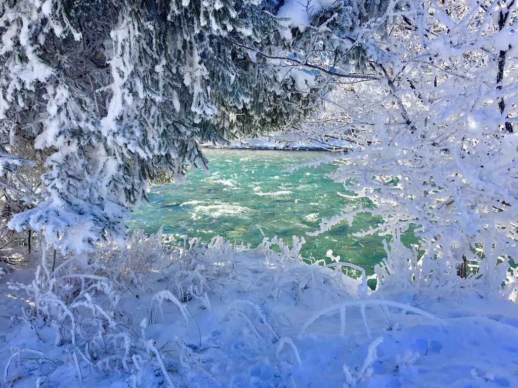 Royal Waldfeld Lägenhet Mayrhofen Exteriör bild